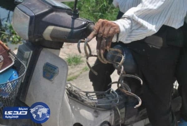 بالصور.. فيتنامي يٌربي أظافره ويمتنع عن قصها لمدة 35 عاماً