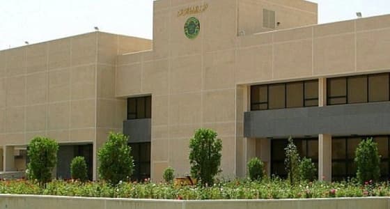 3389 موظفًا حكوميًا وموظفة يلتحقون بـ 114 برنامجًا تدريبيًا بـ " معهد الإدارة " .. غدًا