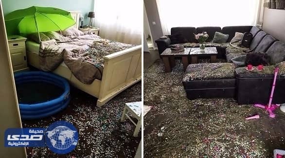 شباب يحولون منزل صديقهما لحديقة حيوان كهدية زفاف