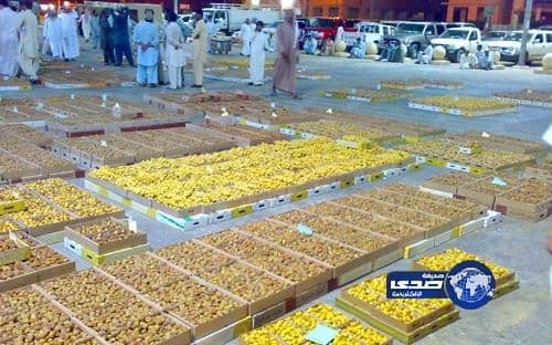 وافد يستغل تشابه اسمه مع إحدى العائلات الشهيرة في النصب والاحتيال بجدة