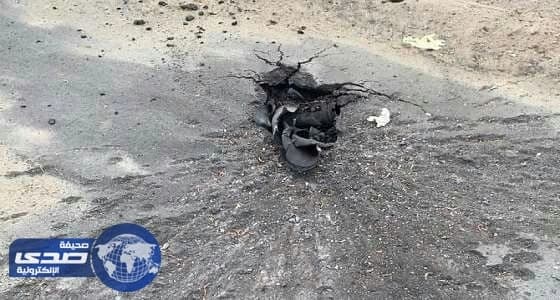 بالفيديو.. حيوان بري ضخم يثير الذعر بالطريق العام