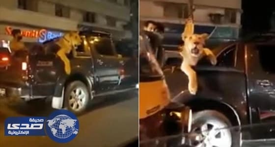 8 أطعمة تٌسبب الكوابيس عند تناولها قبل النوم