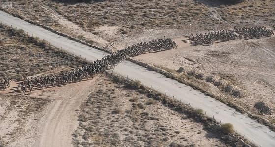 قوات الأمن الخاصة تنفذ مشروع السير الطويل لكافة وحداتها الميدانية واللوجستية