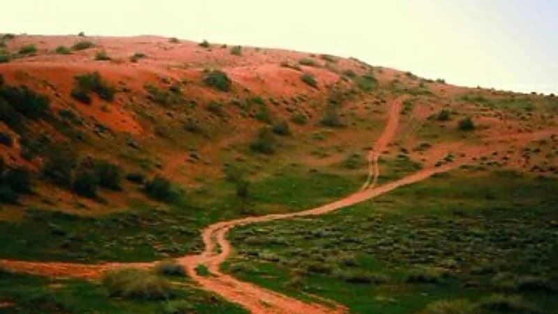 "المسند" يتوقع انكسار الموجة الباردة خلال هذا الأسبوع