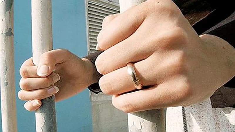 فيديو.. طيار إيرباص يحاول تجنب الاصطدام بسرب من طيور النورس