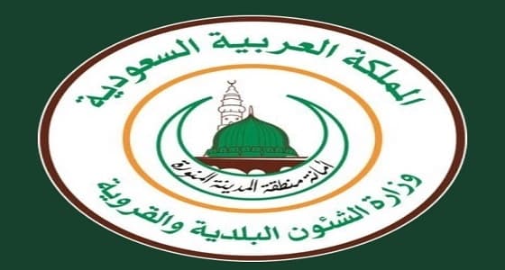 أمانة المدينة تنفي النفخ داخل الذبيحة بأحد المسالخ