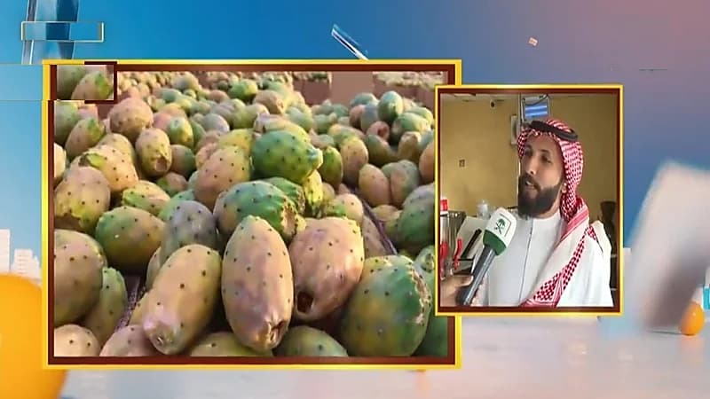 بالفيديو.. شاب يبتكر نكهة آيس كريم بالبرشومي في الطائف