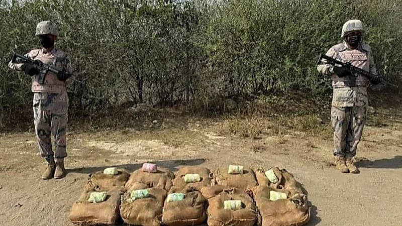 إحباط تهريب كميات كبيرة من القات والشبو في 3 مناطق