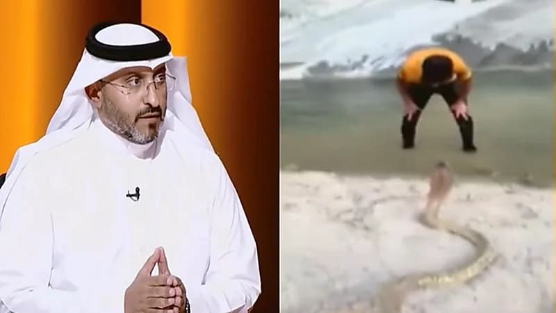 "الفالح" يحذر من قتل الثعابين والزواحف في طلعات البر: هناك عقوبة