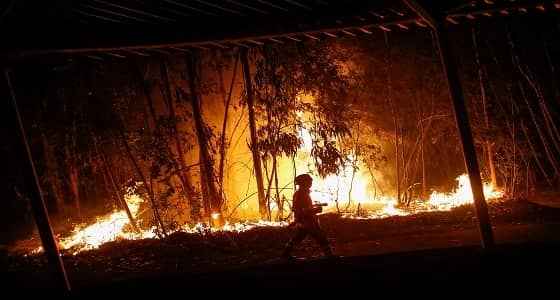 احتواء أكثر من 90 بالمائة من أكبر حريق غابات تشهده كاليفورنيا