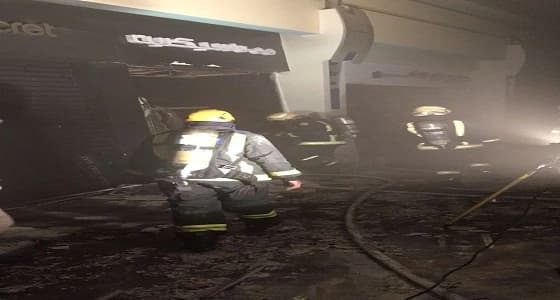 بالفيديو.. مناظر خلابة بحديقة حيوان الرياض