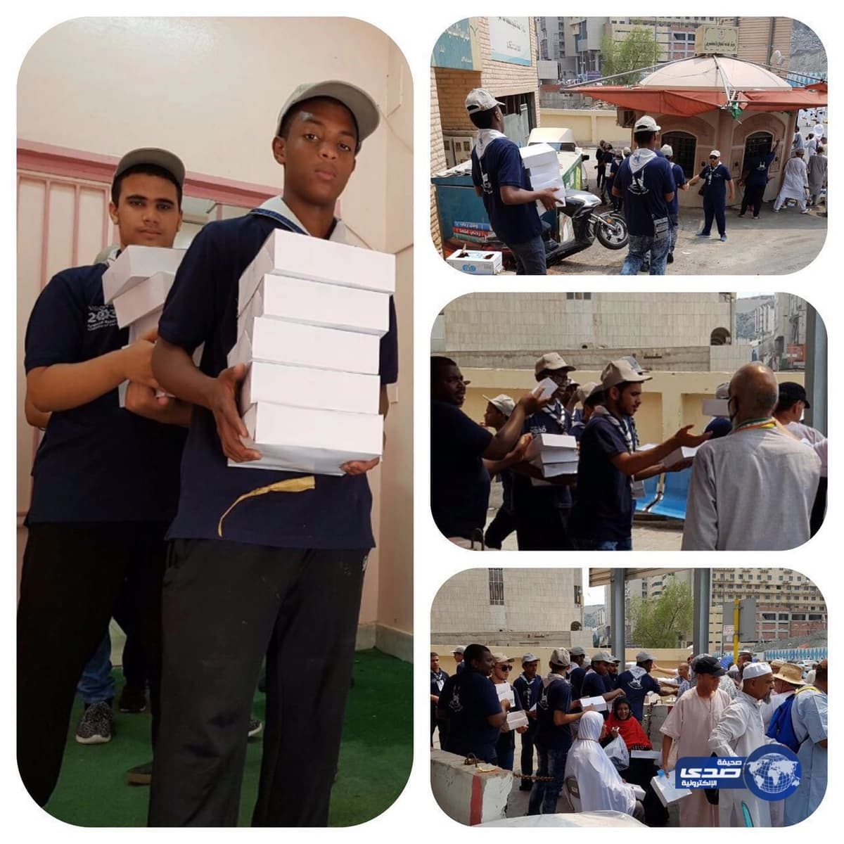 مختص يكشف عن الفرص التي ستتيحها مبادرة الشرق الأوسط الأخضر للدول المشاركة "فيديو"