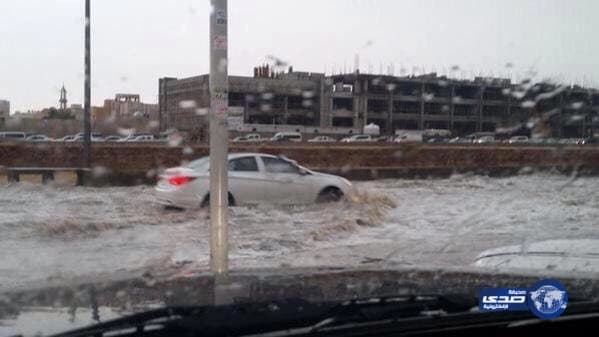 شاهد.. ضبط مقيم بتهمة زراعة مواد مخدرة
