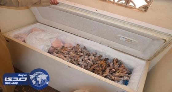 ضبط قائد شاحنة بحالة غير طبيعية في ينبع