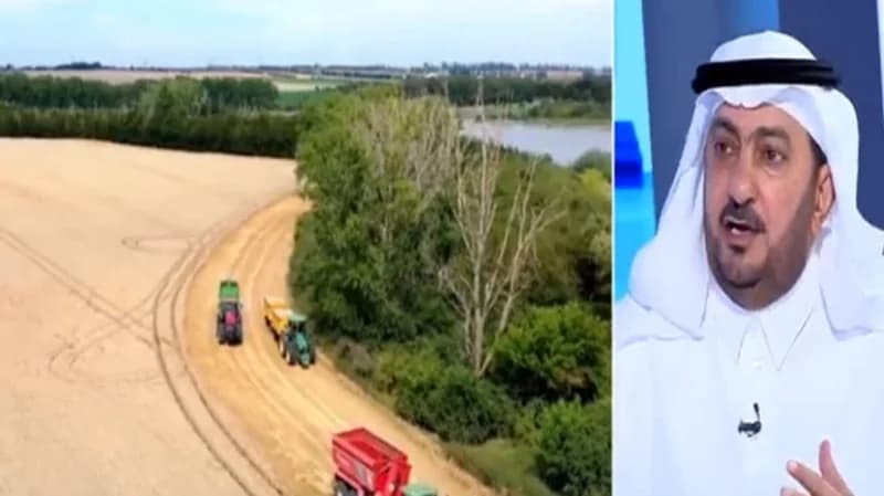 هل من المتوقع أن تستمر أزمة القمح بعد قرار الهند بحظر تصديره ؟.. أكاديمي يجيب