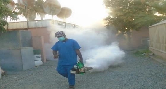 بالصور.. " أمانة نجران " تواصل أعمالها في مكافحة التلوث