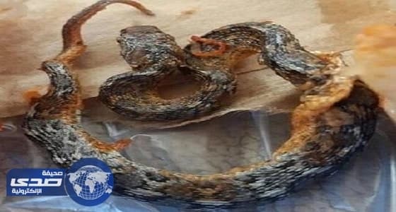 بالفيديو.. مواطن ببارق يروى ملابسات عثوره على ثعبان داخل وجبة دجاج