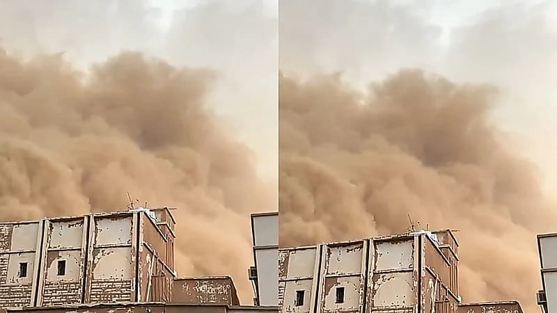 الحصيني: موسم المراويح دون التوقعات وقلة الأمطار أبرز الأسباب.. فيديو