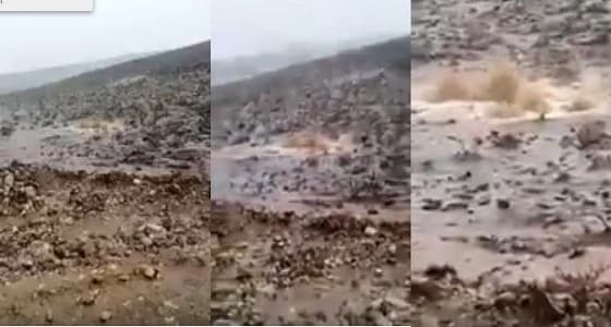 حقيقة انفجار عيون الماء في العيص