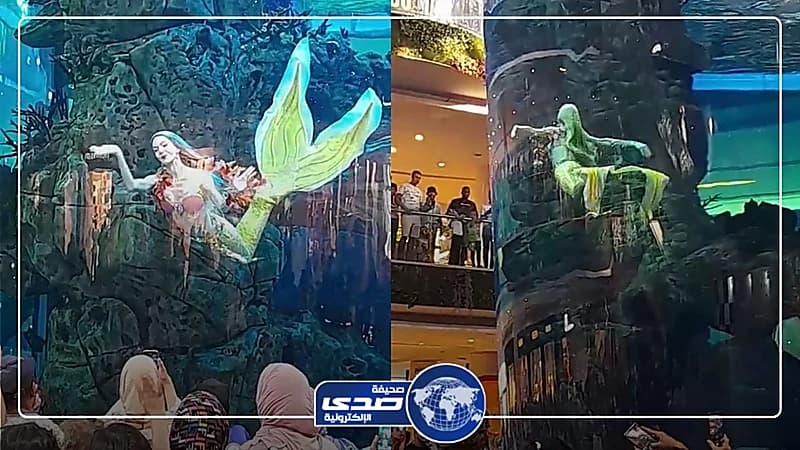 حقيقة عروس البحر التي خطفت أنظار المصريين بالإسكندرية .. فيديو