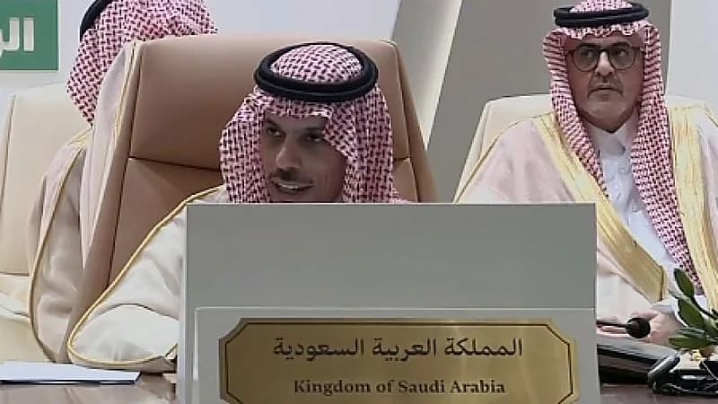 وزير الخارجية يعلق على إعادة مقاتلي داعش المحتجزين .. فيديو