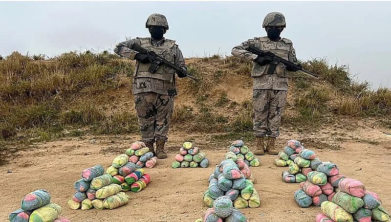 إحباط تهريب 88 كيلوجرام من القات والحشيش في القصيم وعسير