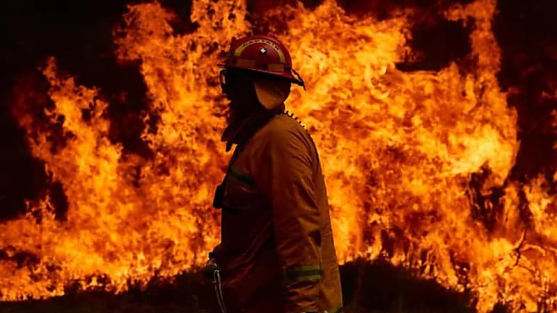 دراسة تتنبأ بعدد الموتى والإصابات في حرائق المناخ بحلول 2100