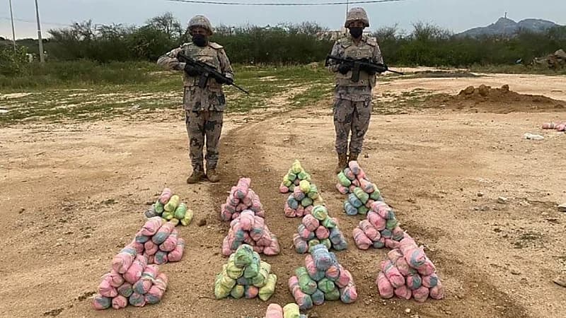 إحباط عملية تهريب 320 كجم من القات في جازان