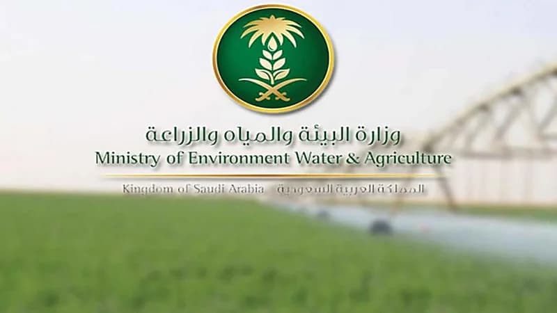 البيئة تدعو 33 متقدماً ومتقدمة على وظائفها لاستكمال مسوغات التعاقد