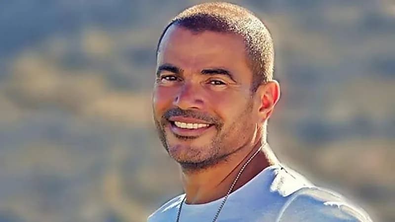 حفل عمرو دياب يتسبب في طلاق زوجين