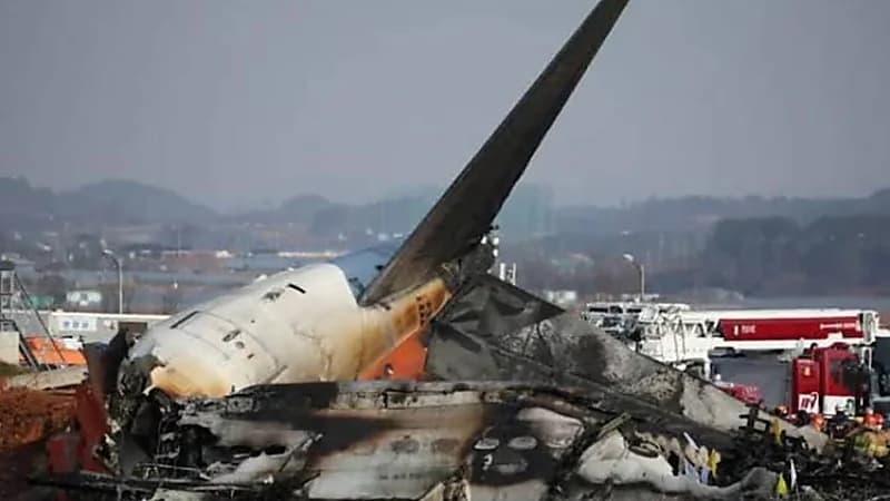 كوريا تنجح في استخراج بيانات أولية من الصندوق الأسود لـ الطائرة المنكوبة