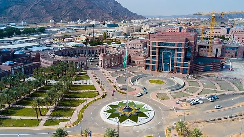 جامعة طيبة تفتح التقديم للعام الجامعي 1447هـ عبر منصة قبول