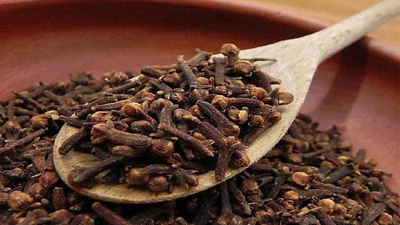 مضغ القرنفل صباحًا ينعش الفم ويقلل الغثيان