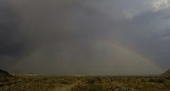 شاهد.. قوس قزح يتألق في سماء الشرائع