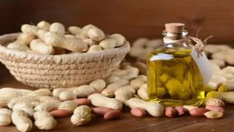 الزيوت الأفضل لتحضير الوجبات