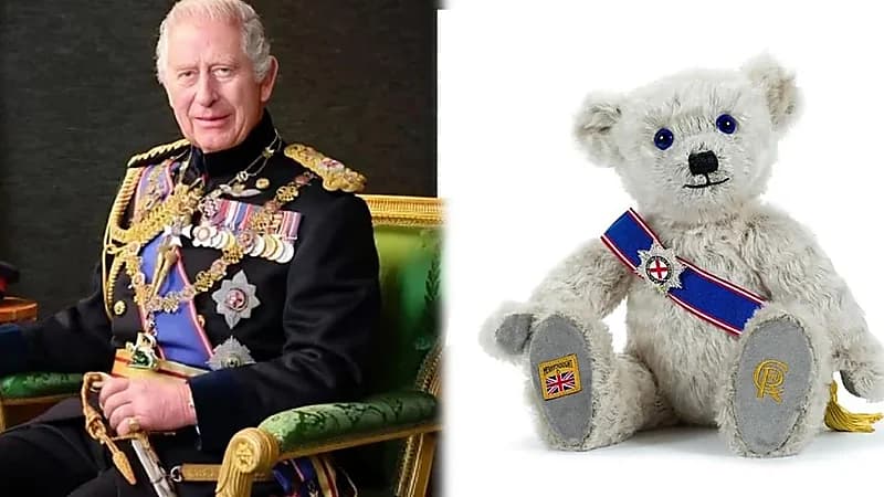 طرح دب الملك تشارلز للبيع