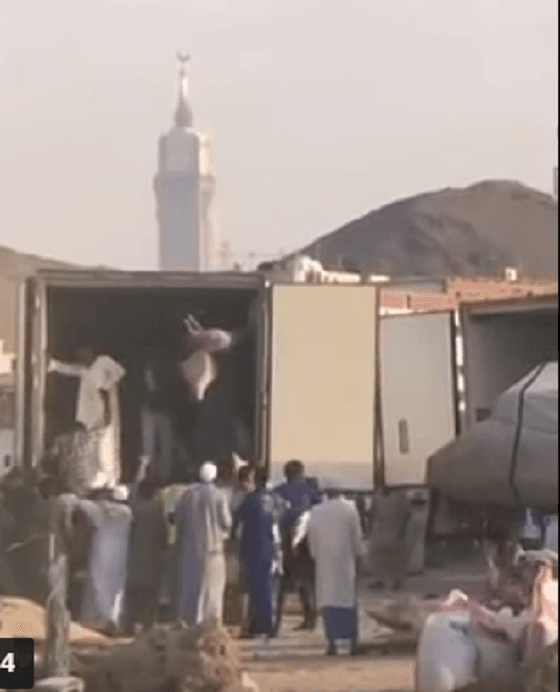 شاهد بالفيديو..توزيع عشوائي للحوم الأضاحي بمكة
