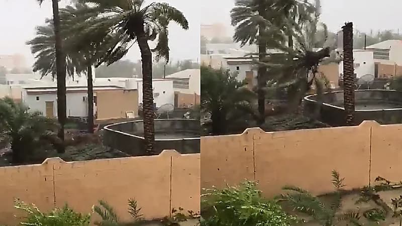 شاهد.. إعصار شاهين يتسبب في سقوط نخيل "بركاء" العمانية