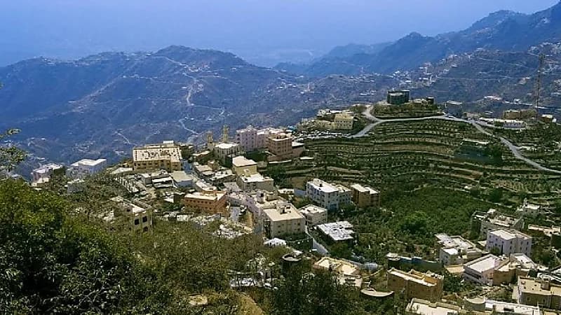 بالفيديو.. تشكيل لجنة للوقوف على مشكلة تضرر أصحاب المحال التجارية بفيفاء