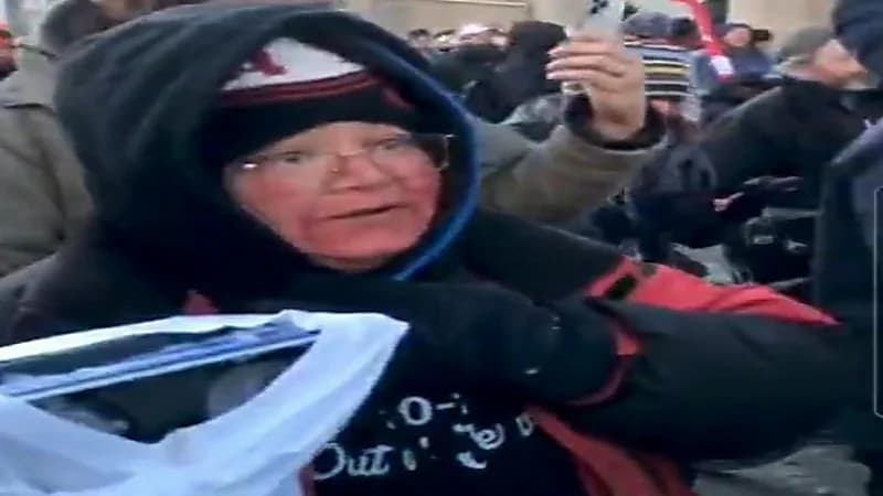 بالفيديو.. الشرطة الكندية تعتدي بالخيول على سيدة مسنة