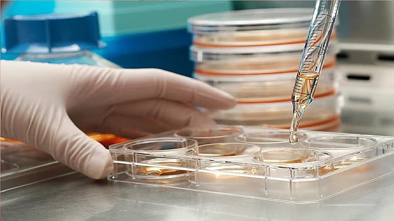 الخضيري: لا نتخدعوا بتحاليل العمر الجيني والشعر لإثبات قبيلة والكشف عن الأمراض