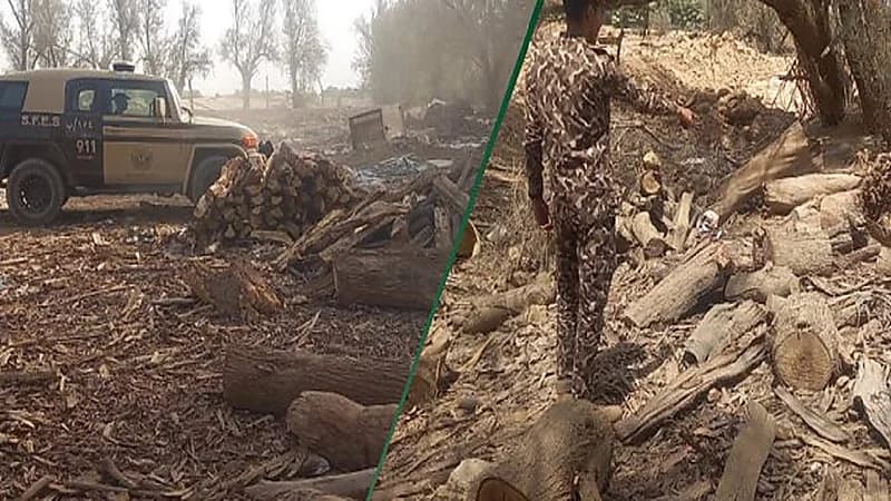 ضبط 3 مخالفين لنظام البيئة في الرياض