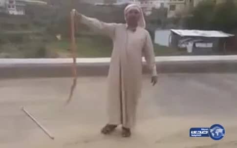 بالفيديو..مواطن يداعب كُوبرا سامة بأحد طرق النماص