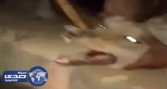 «مثاني» تطلق برنامج «تصحيح التلاوة» بمساجد عرعر