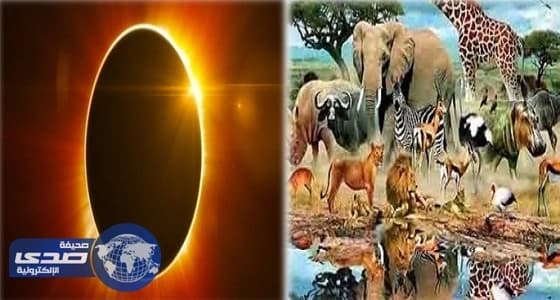 سلوك الحيوانات أثناء ظاهرة الكسوف