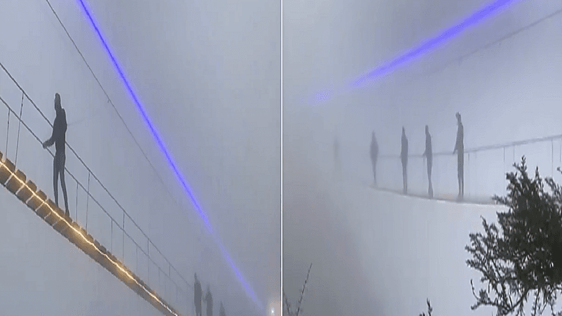 بالفيديو.. ممشى السحاب في غابة رغدان يجذب السياح والزوار