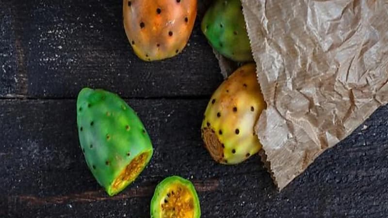 فوائد صحية مذهلة للتين الشوكي