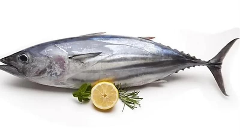 بالصور ..أنواع شهيرة من السمك تصيبك بالتسمم