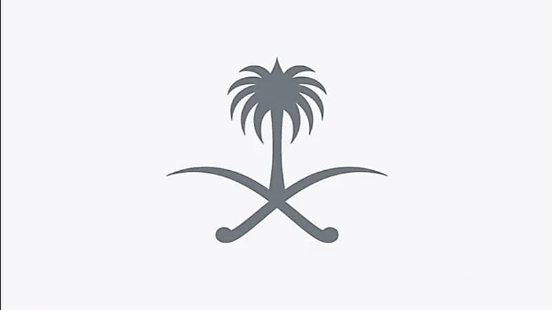 تعرف على النظام الأساس لجامعة الملك سعود بعد تحويلها للهيئة الملكية لمدينة الرياض