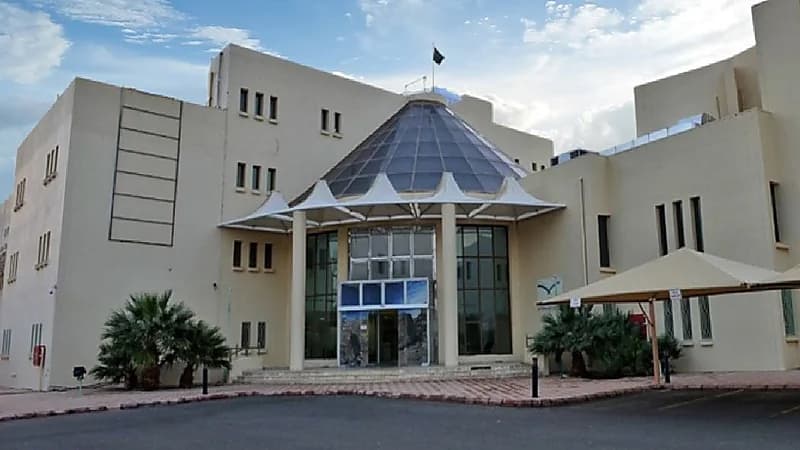 تعليق الدراسة في مدارس وفرع جامعة طيبة بالعلا